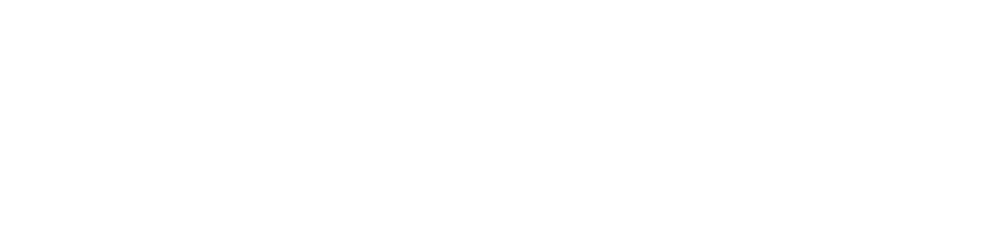 Profit Insight All White Logo